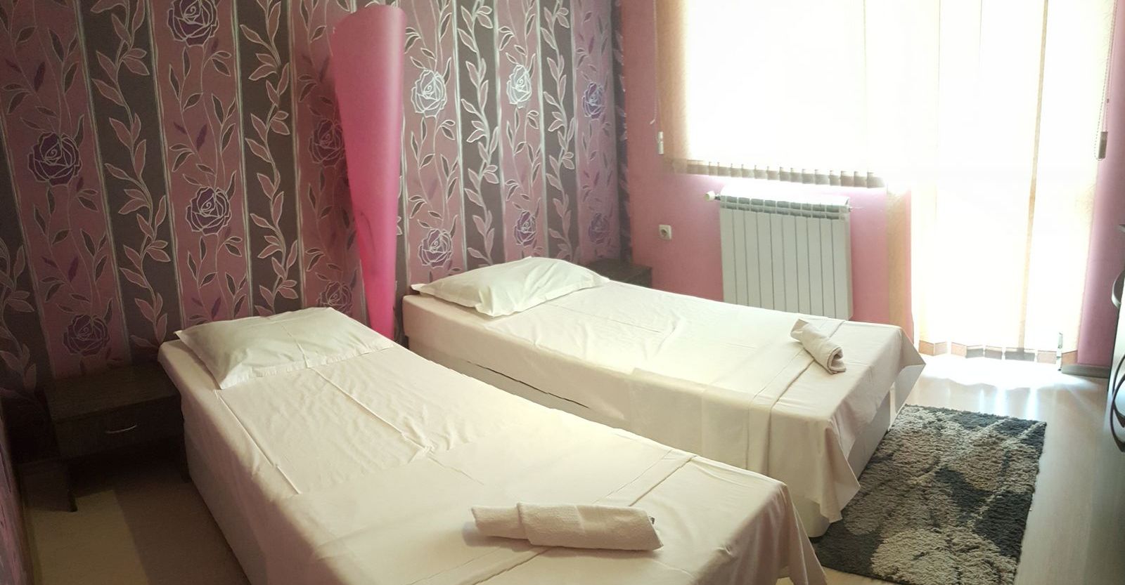 hotel center sofia staia s dve legla 1.2